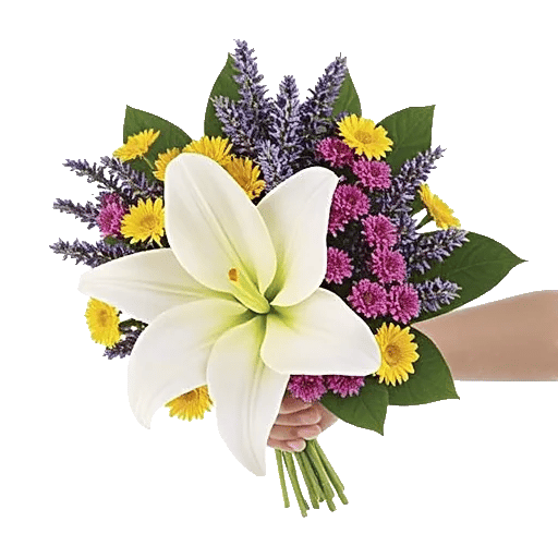 Minimalist White Orchids