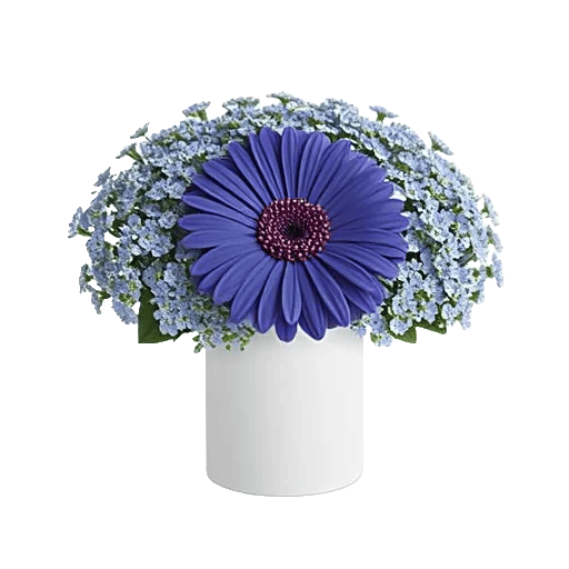 Elegant Blue Roses