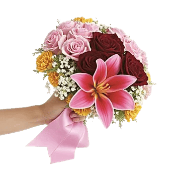 Blushing Rose Symphony