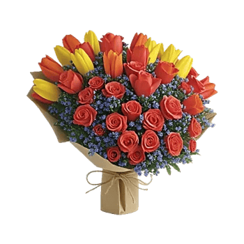 Tulip Rose Mix