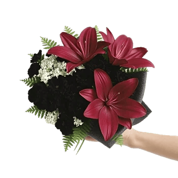 Crimson Lily Glow