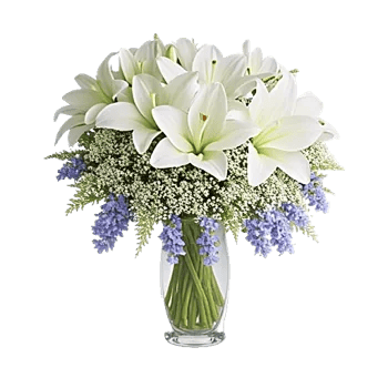Graceful Lily Display