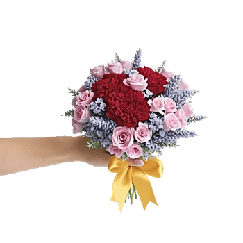 Crimson Rose Elegance