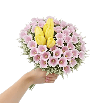 Blossom Harmony Display