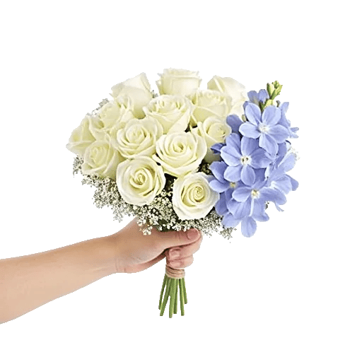 Blossom Petal Serenity