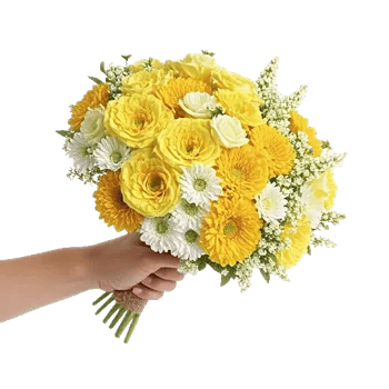 Golden Petal Harmony