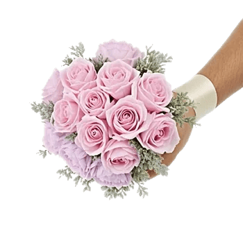 Pastel Pink Roses