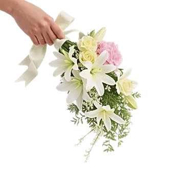 Ivory Blossom Radiance