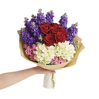 Crimson Rose Elegance
