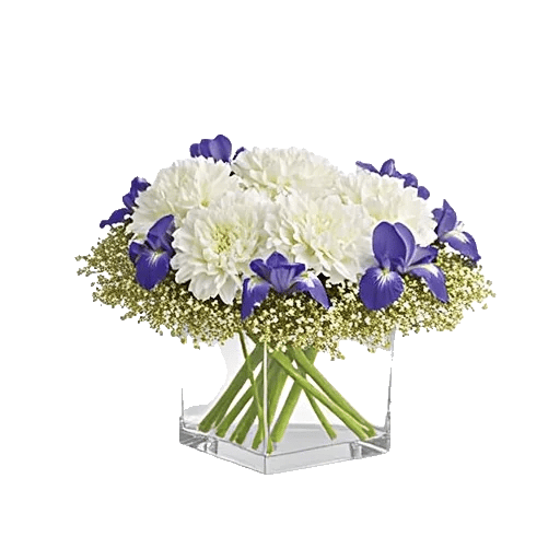 Ivory Blossom Radiance