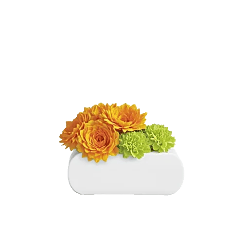 Petal Radiance Bliss