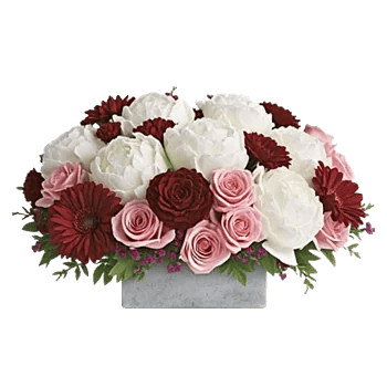 Petal Radiance Bliss