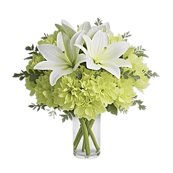 Ivory Blossom Radiance