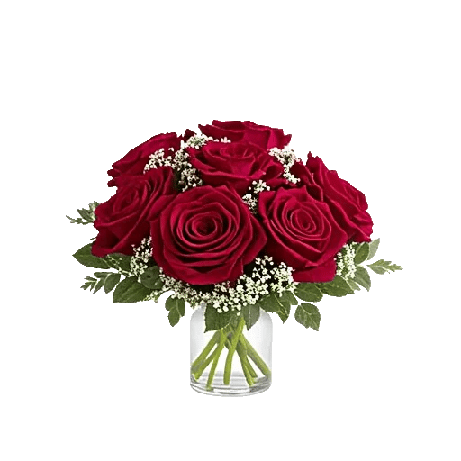 Crimson Rose Elegance