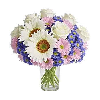 Ivory Blossom Radiance