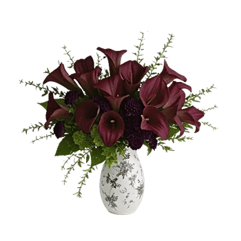 Elegant Calla Lilies