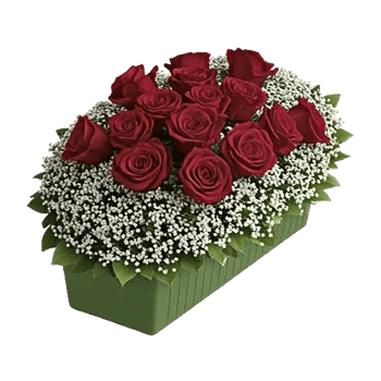 Crimson Rose Elegance