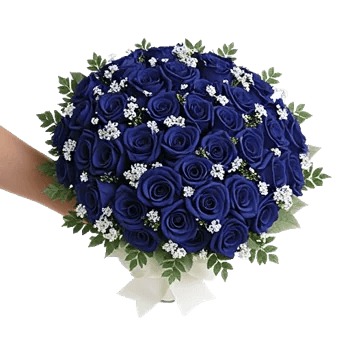 Elegant Blue Roses