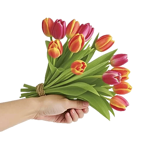Velvet Tulip Display