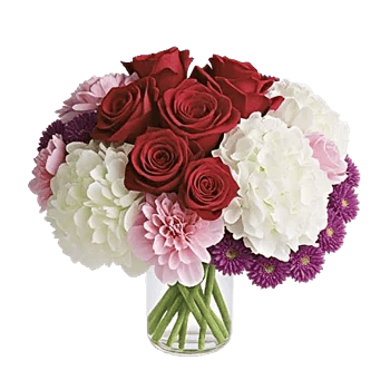 Petal Radiance Bliss