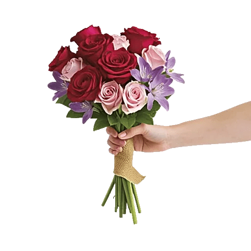 Crimson Rose Elegance