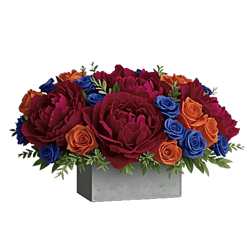 Petal Radiance Bliss