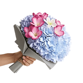 Serene Petal Harmony