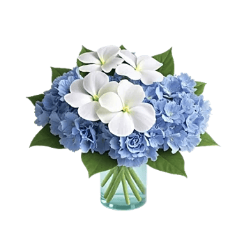 Serene Petal Harmony