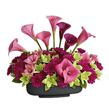 Elegant Calla Lilies