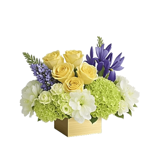 Ivory Blossom Radiance