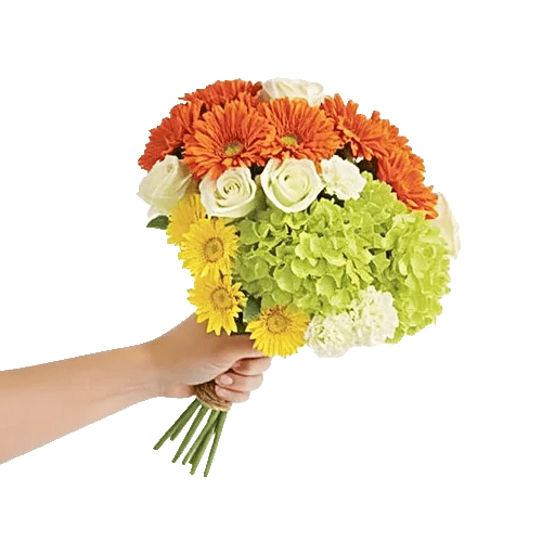 Petal Harmony Bliss