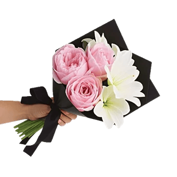 Peony Petal Harmony