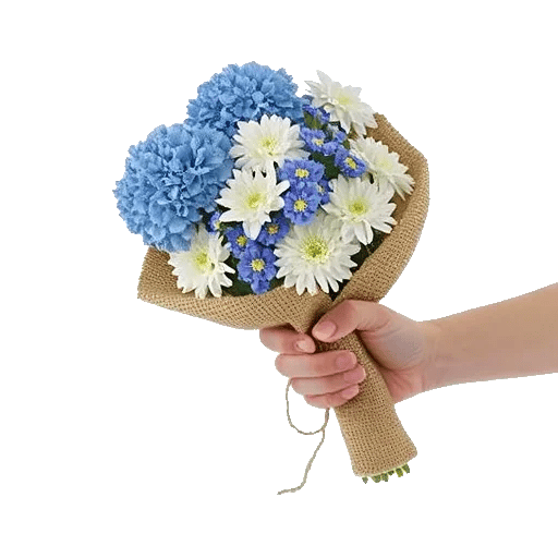 Serenity Blossom Grace