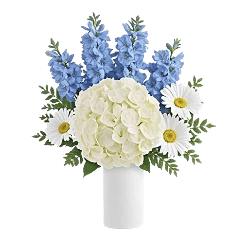 Ivory Blossom Radiance