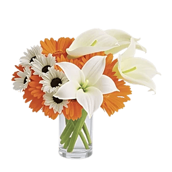 Petal Radiance Bliss