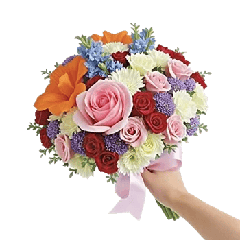 Blushing Rose Symphony