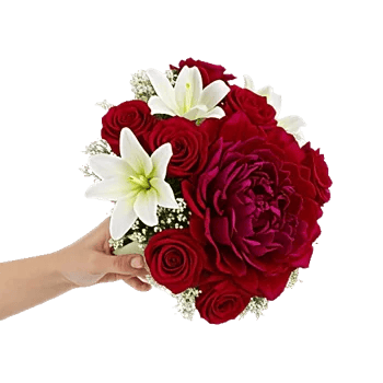 Peony Petal Harmony