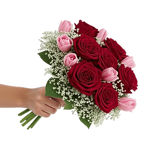 Crimson Rose Elegance