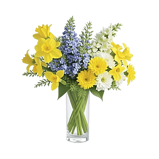 Ivory Blossom Radiance