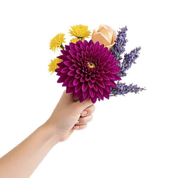 Crimson Blossom Harmony