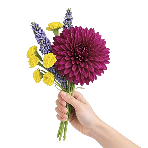 Radiant Bloom Cascade