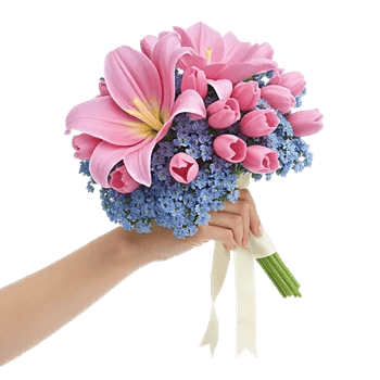 Delicate Petal Cascade