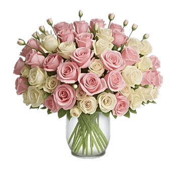 Pink Pastel Roses