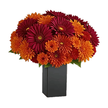 Crimson Blossom Harmony