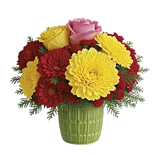 Petal Radiance Bliss