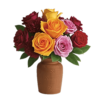 Radiant Rose Symphony