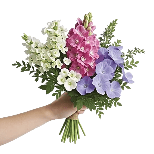 Blossom Harmony Display