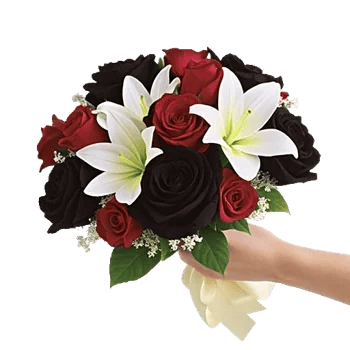 Crimson Rose Elegance