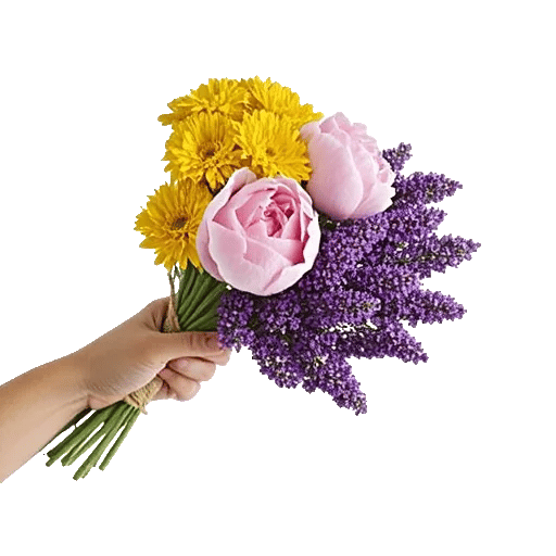 Petal Radiance Bliss