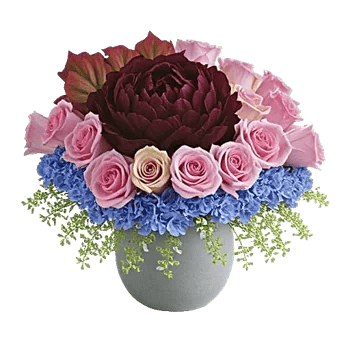 Petal Radiance Bliss
